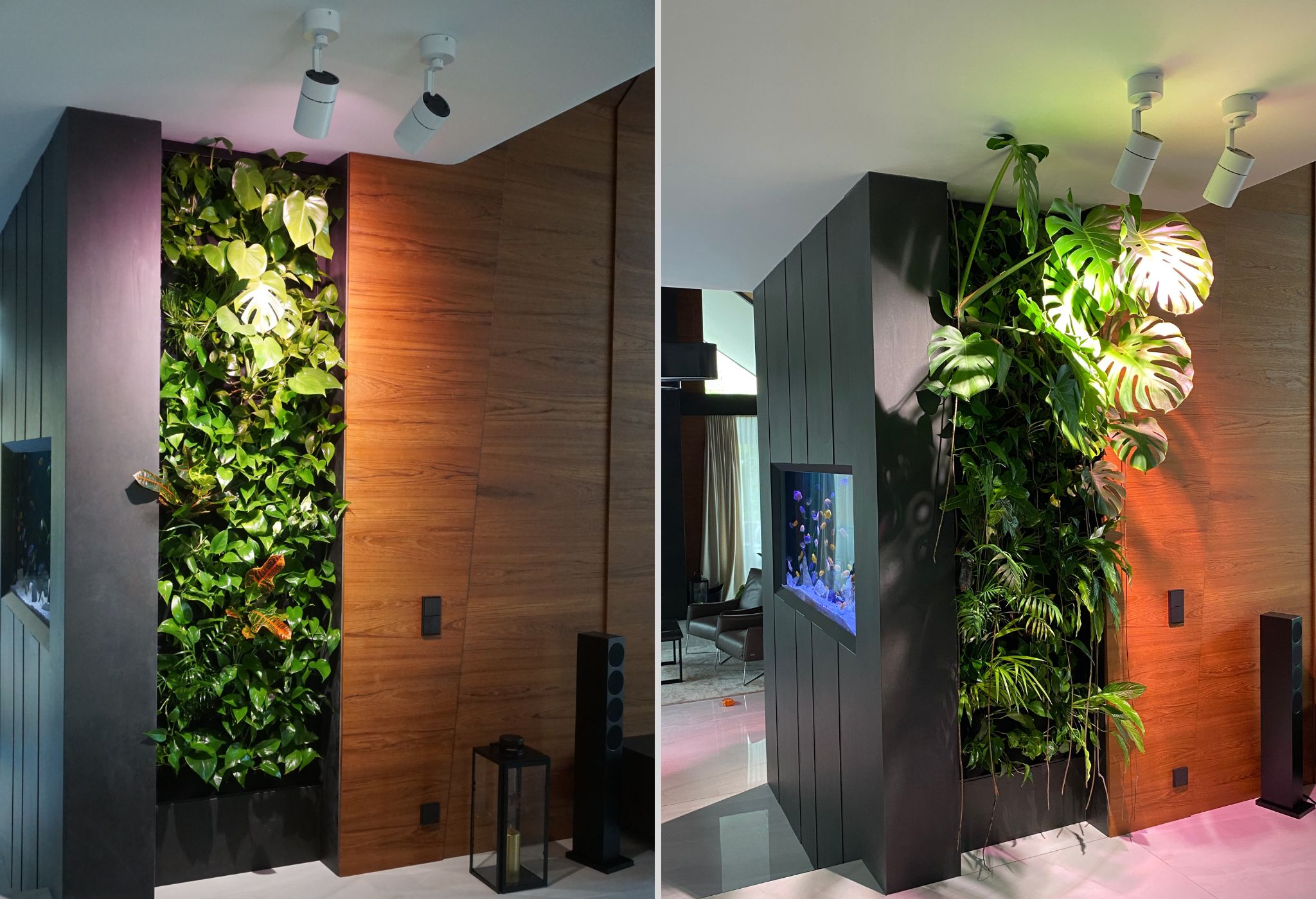 Vertical wall planters